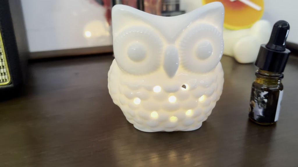 1 Owl Aromatherapy Burner, (With Candle Holder) (Candles And Aromatherapy Oils Not Included) Creative Aromatherapy Burner, Essential Oil Lamp Burner, Scented Candle Burner, Halloween, Christmas, Thanksgiving Tabletop Decorati