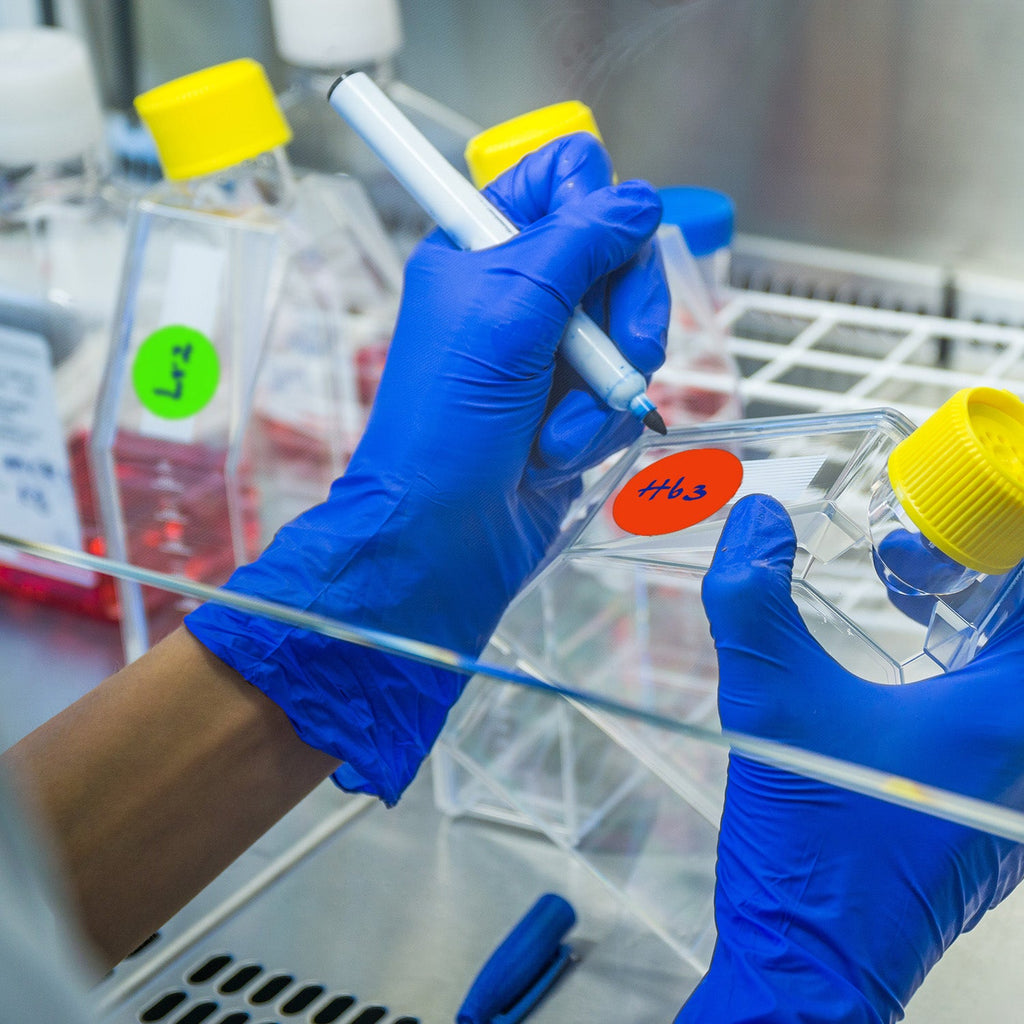 1-1/2" Permanent Round Color-Code Dot Inventory Labels: 500/Roll