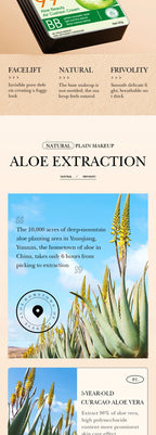 Air Cushion CC Cream Mushroom Head Foundation Moisturizing Long Lasting Face Comestics Natural Brighten Face Base Tone Make Up