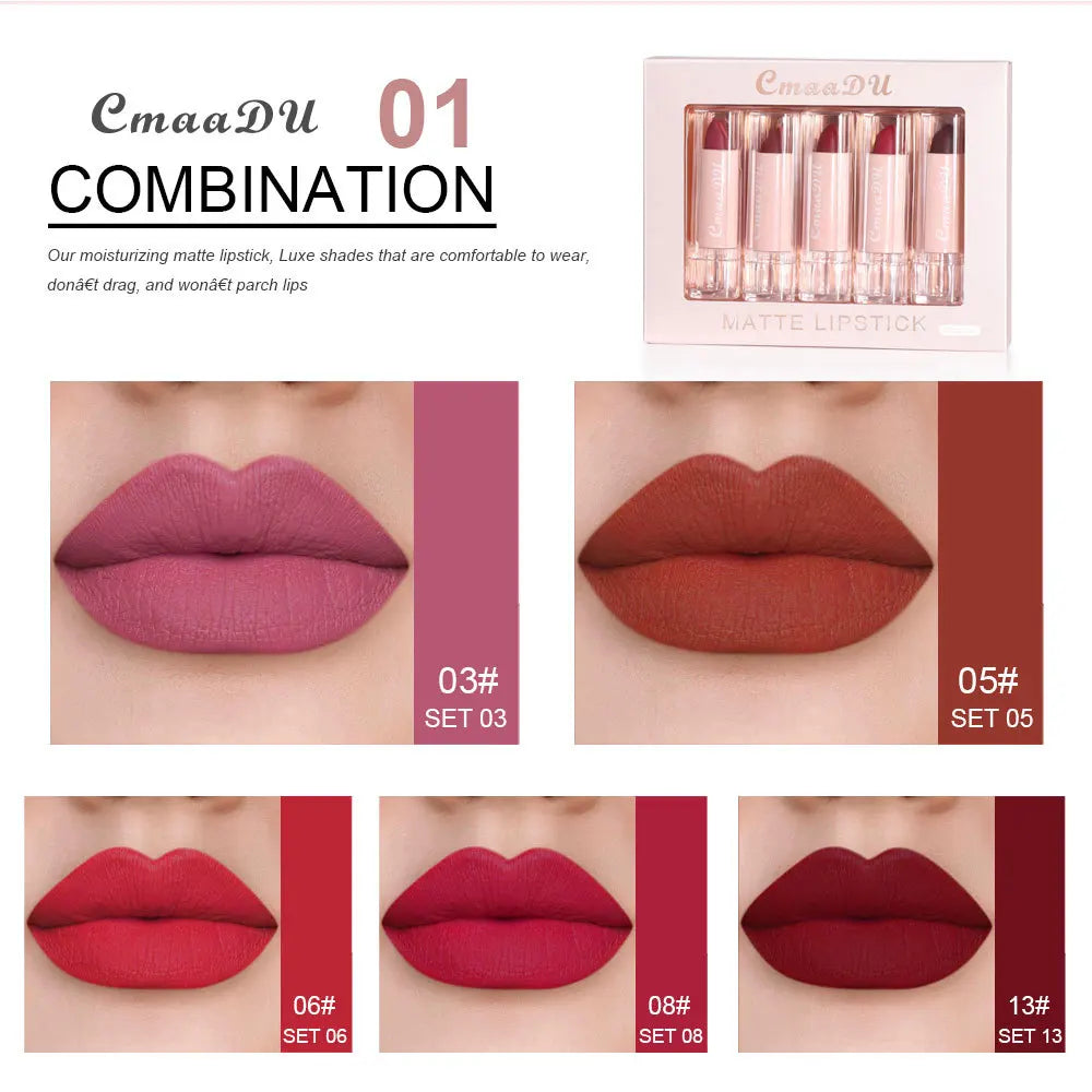 5 Pcs  Matte Lipstick Sets Lip Gloss Moisturizing Long-lasting Easy Makeup Fashion Classic Shades For Daily Date Exquisite Gift