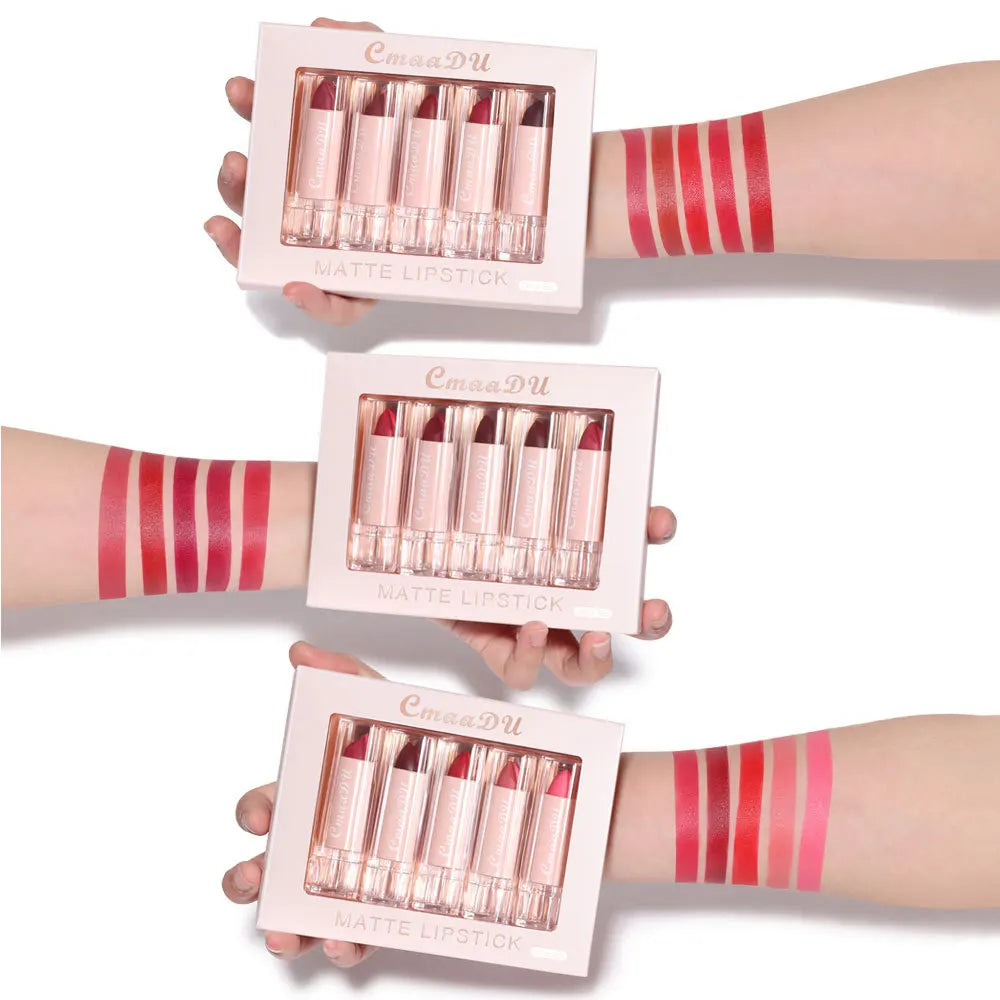 5 Pcs  Matte Lipstick Sets Lip Gloss Moisturizing Long-lasting Easy Makeup Fashion Classic Shades For Daily Date Exquisite Gift