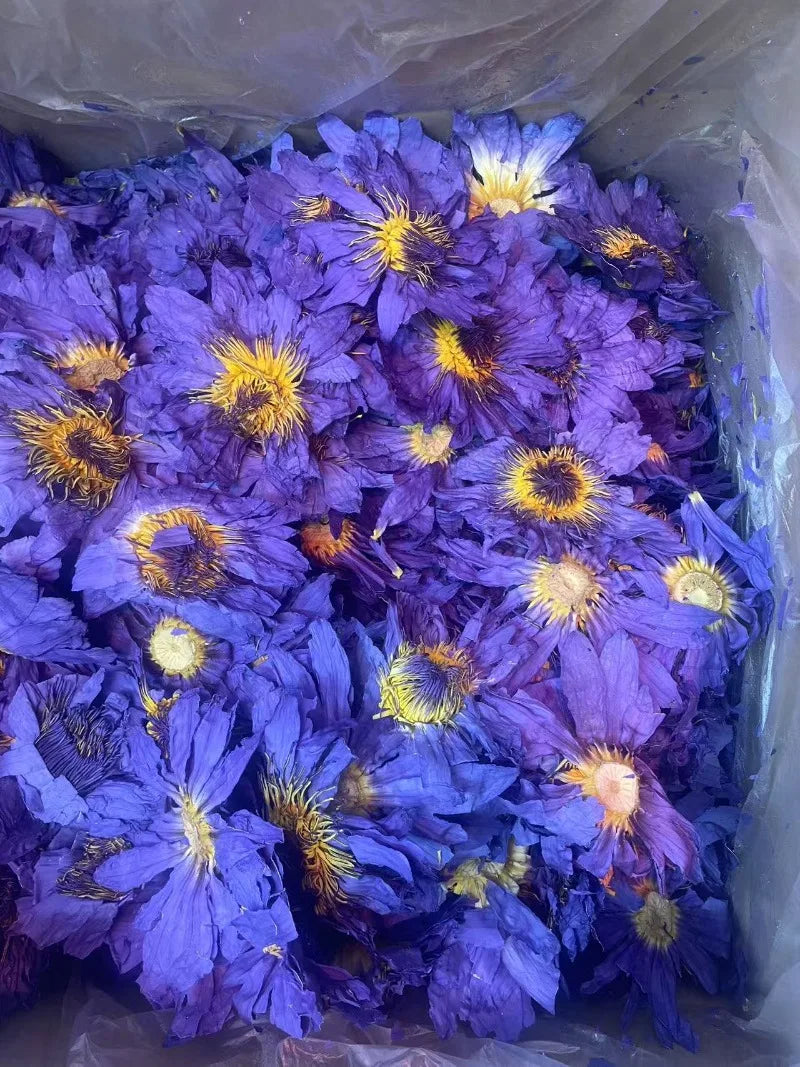 100% Top Natural Lotus Blossom Fragrant Dried Flowers Beauty Care Soap Candle Making Homemade Fragrance Home Decor Incense