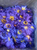 100% Top Natural Lotus Blossom Fragrant Dried Flowers Beauty Care Soap Candle Making Homemade Fragrance Home Decor Incense