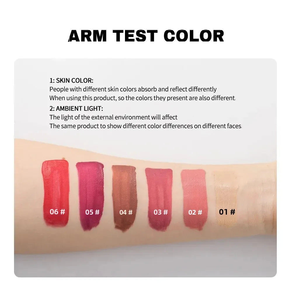 6-Color Velvet Lip Glaze Lipstick High Color Lip Makeup Waterproof Long-Lasting Nude Lip Color Liquid Cosmetics