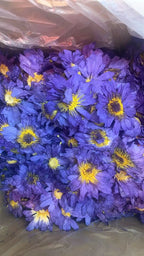 100% Top Natural Lotus Blossom Fragrant Dried Flowers Beauty Care Soap Candle Making Homemade Fragrance Home Decor Incense