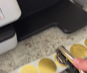 2" Removable Round, Color-Code Dots: 100/Pack